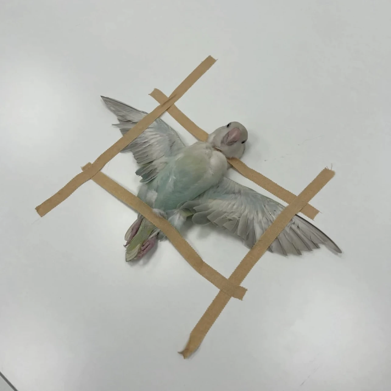 한청진 선생님