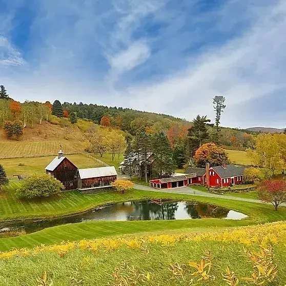 TimelyStamp2064의 Small town family