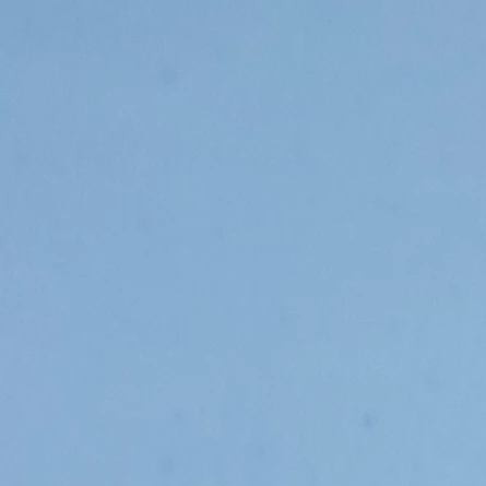 회사