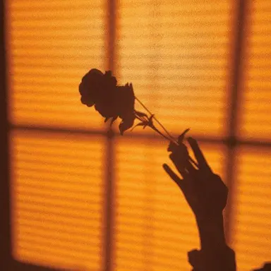 Profile image of 제미니