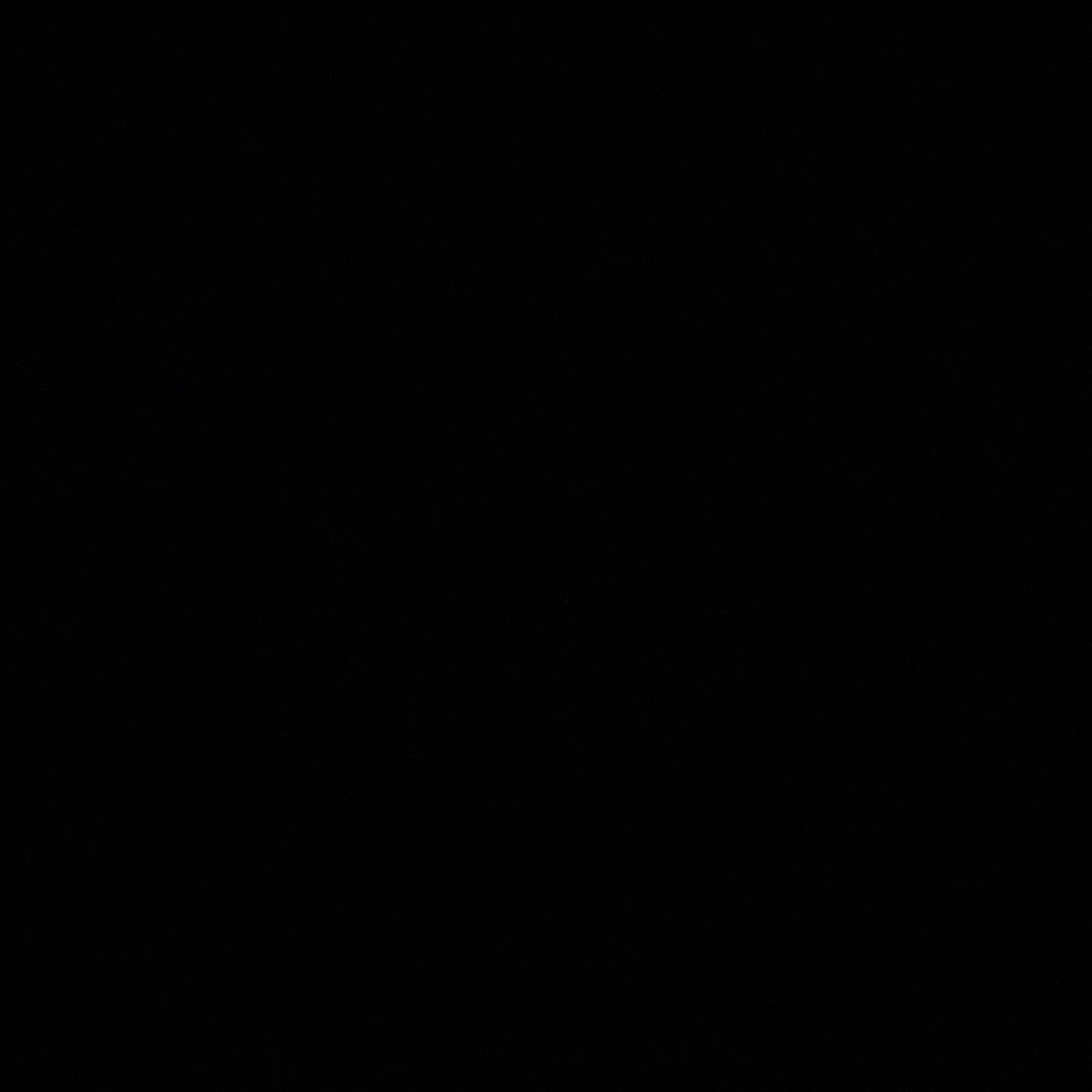 여우