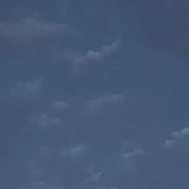 Profile image of 전필도