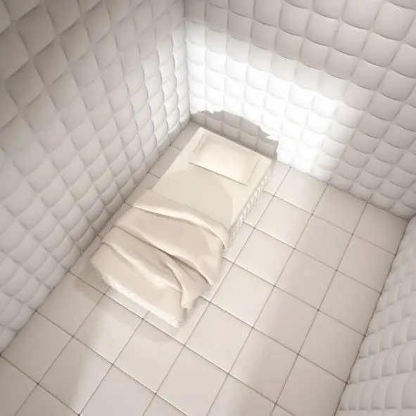 ToughCopy7965의 精神病院