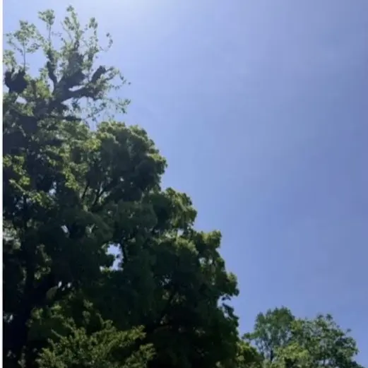 abesaku의 佐久間大介はいじめられてる