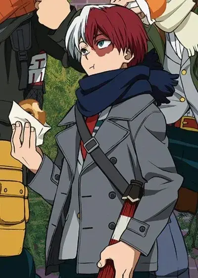 MorbidWolf1633의 Shoto Todoroki