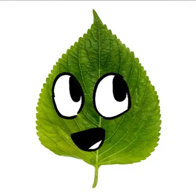 Profile image of 깻잎