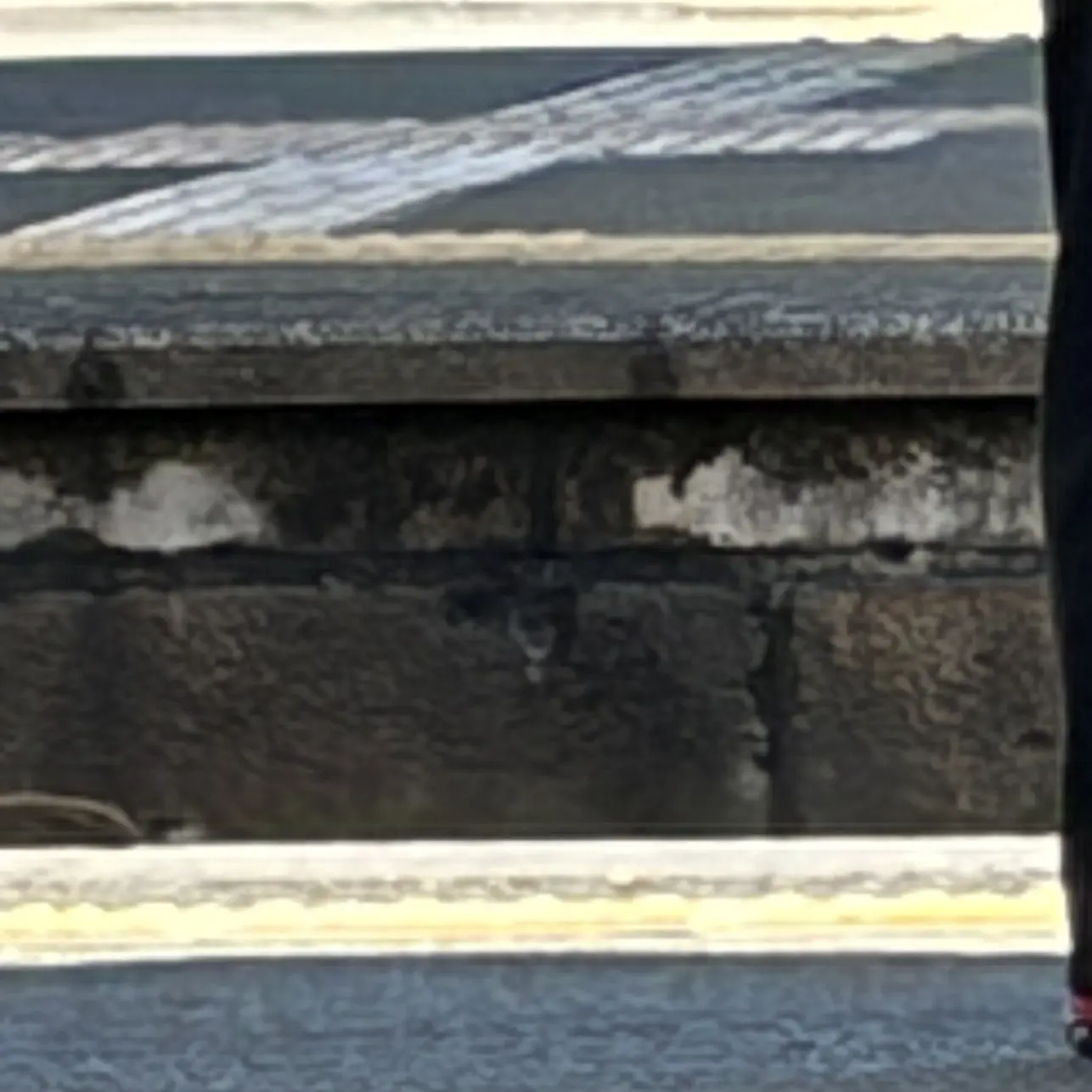 WoodenFlame3926의 大晦日僕はあの神社で君に恋をした