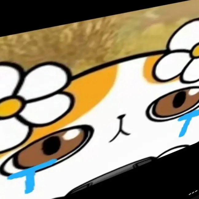 SorryStud5678의 댄디월드 하는 그냥이 