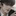 황우현