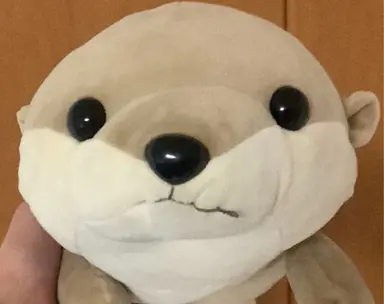 Profile image of 朝間コハル