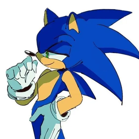 VoicedStudy8365의 소닉 더 헤지혹