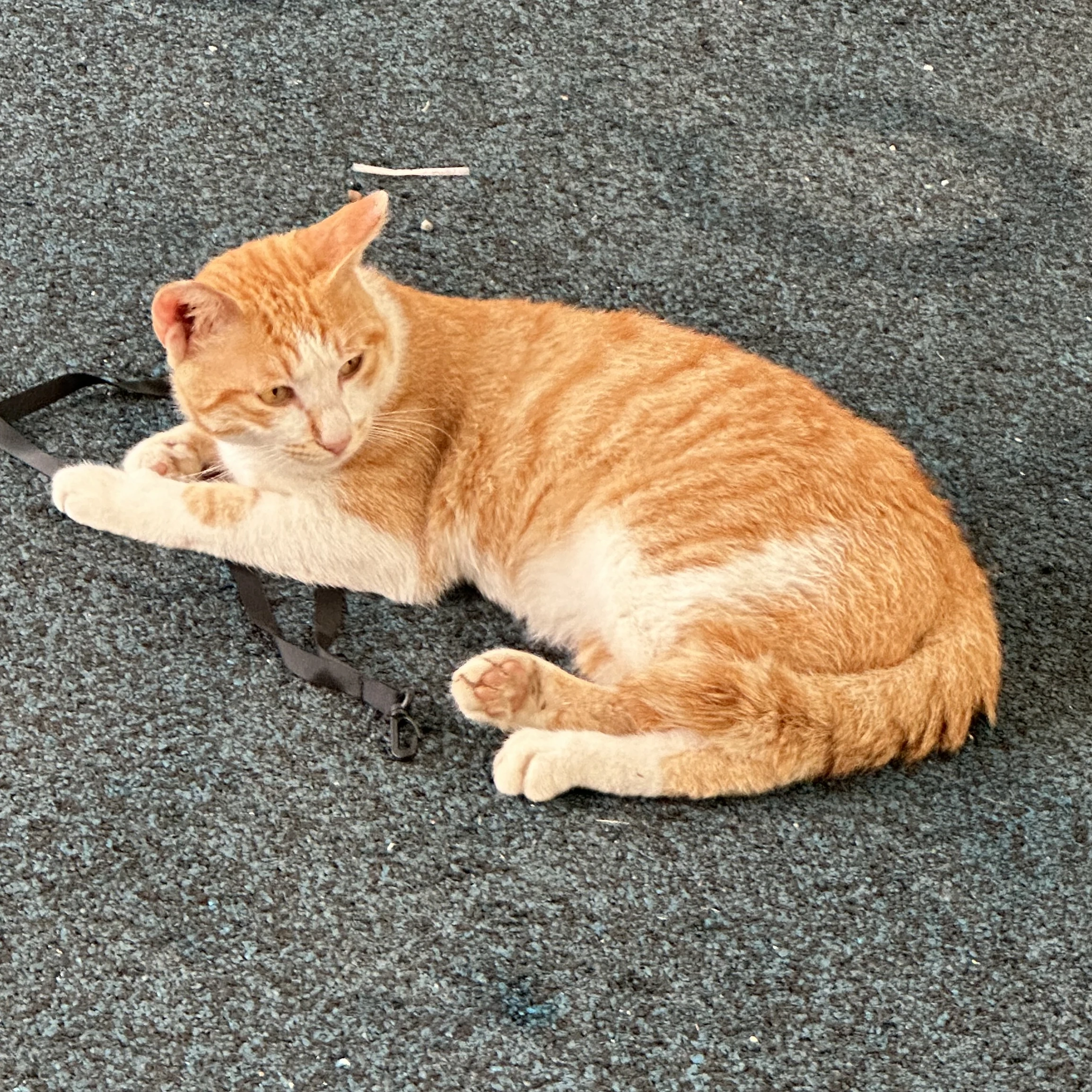 이민호