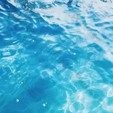 Profile image of アロハ