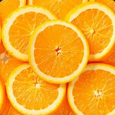 Profile image of ハル