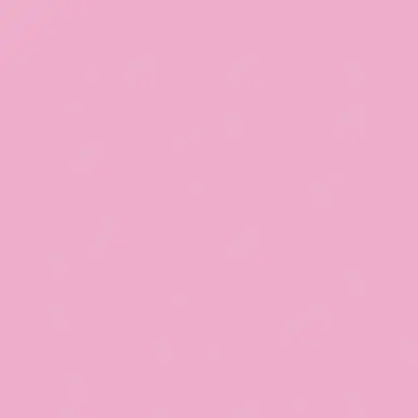 Profile image of ないこ