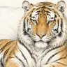 Profile image of 江戸