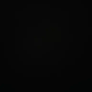 Profile image of 판다