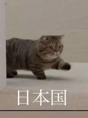 yatugare_666의 ねこ