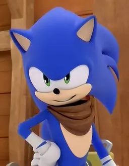 Profile image of ソニック