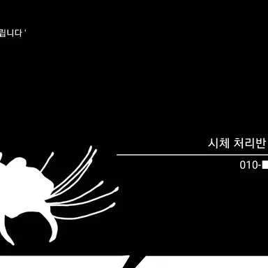 Profile image of 백일홍