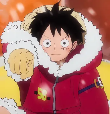 Profile image of ルフィ
