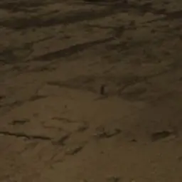 Profile image of 예시 작성용 캐릭