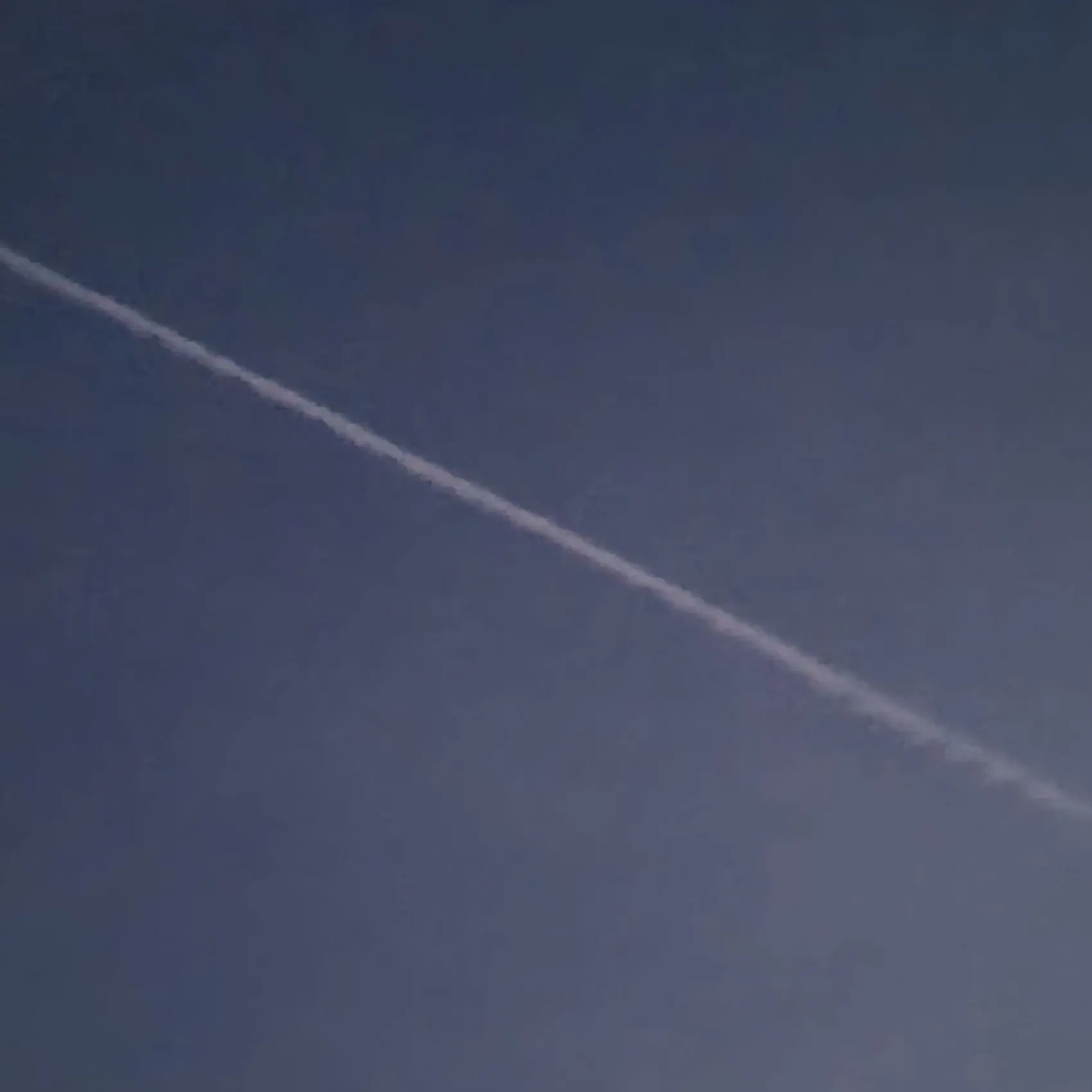 PettyDoor3802의 ···네가 죽기 전으로.