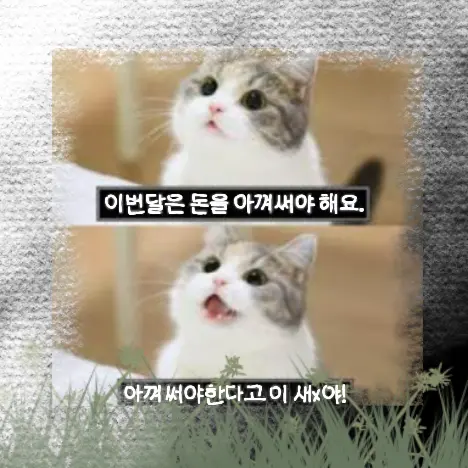 coco8060의 이번달은 돈을 아껴써야 해요.