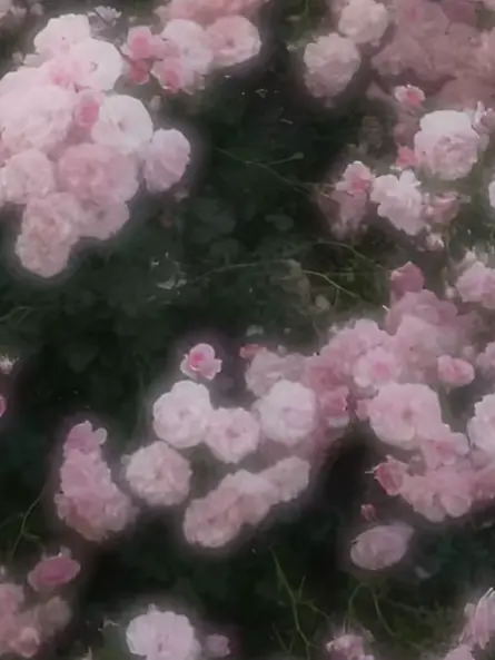 JollyHoop2533의 嫉妬。