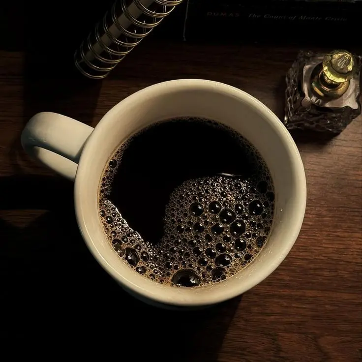 orange.cat.의 『자칭 고독한 천재』