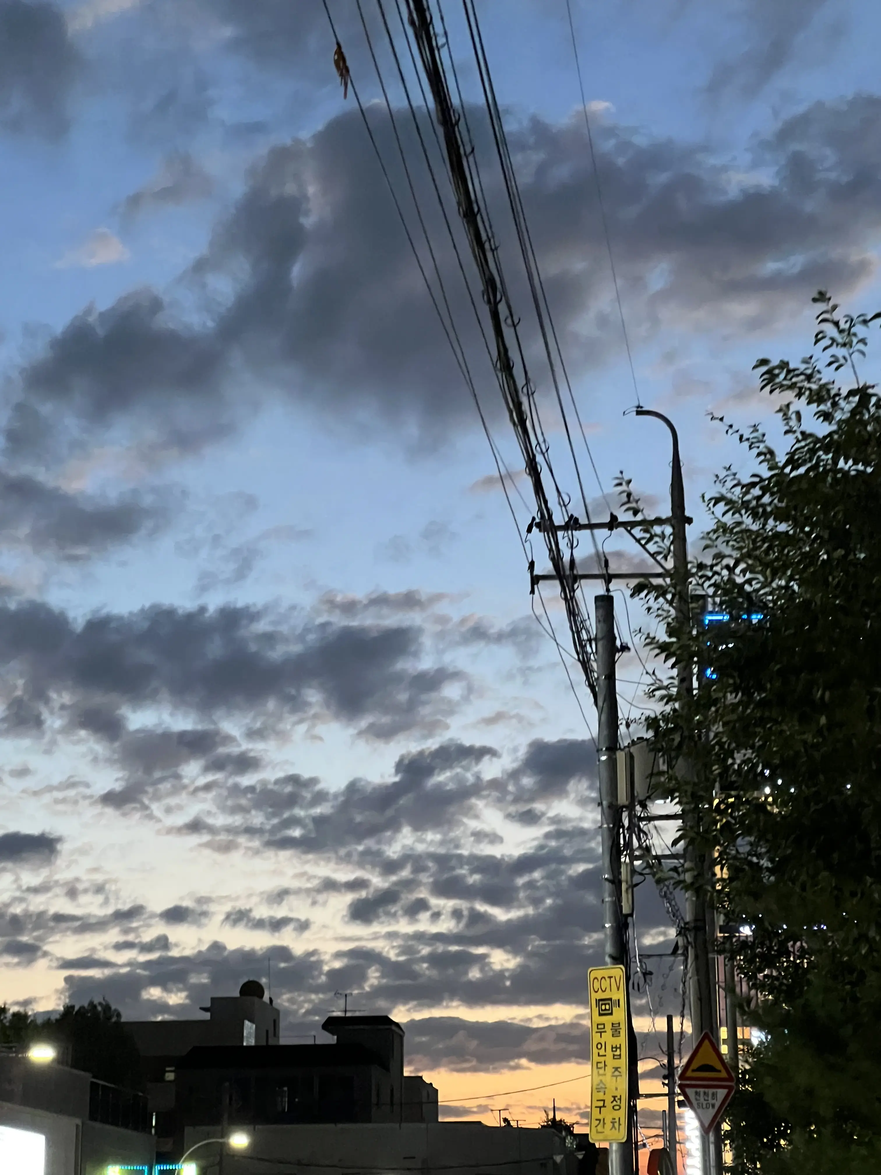 Tiny_light의 김영웅