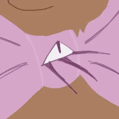 Profile image of The bow