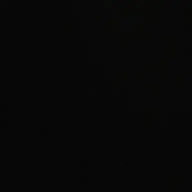 Profile image of 김동횬