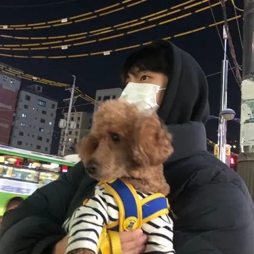 MustyCumin7499의 지창민