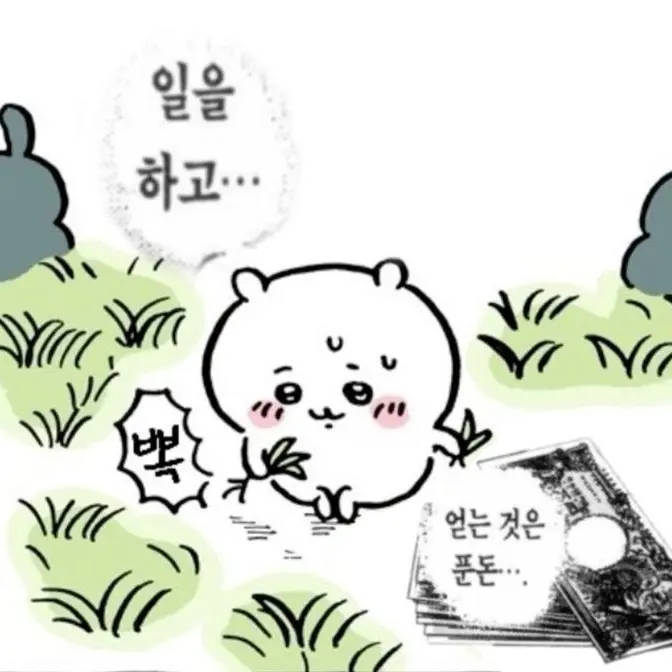 o31_5의 참모