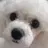 뭉치