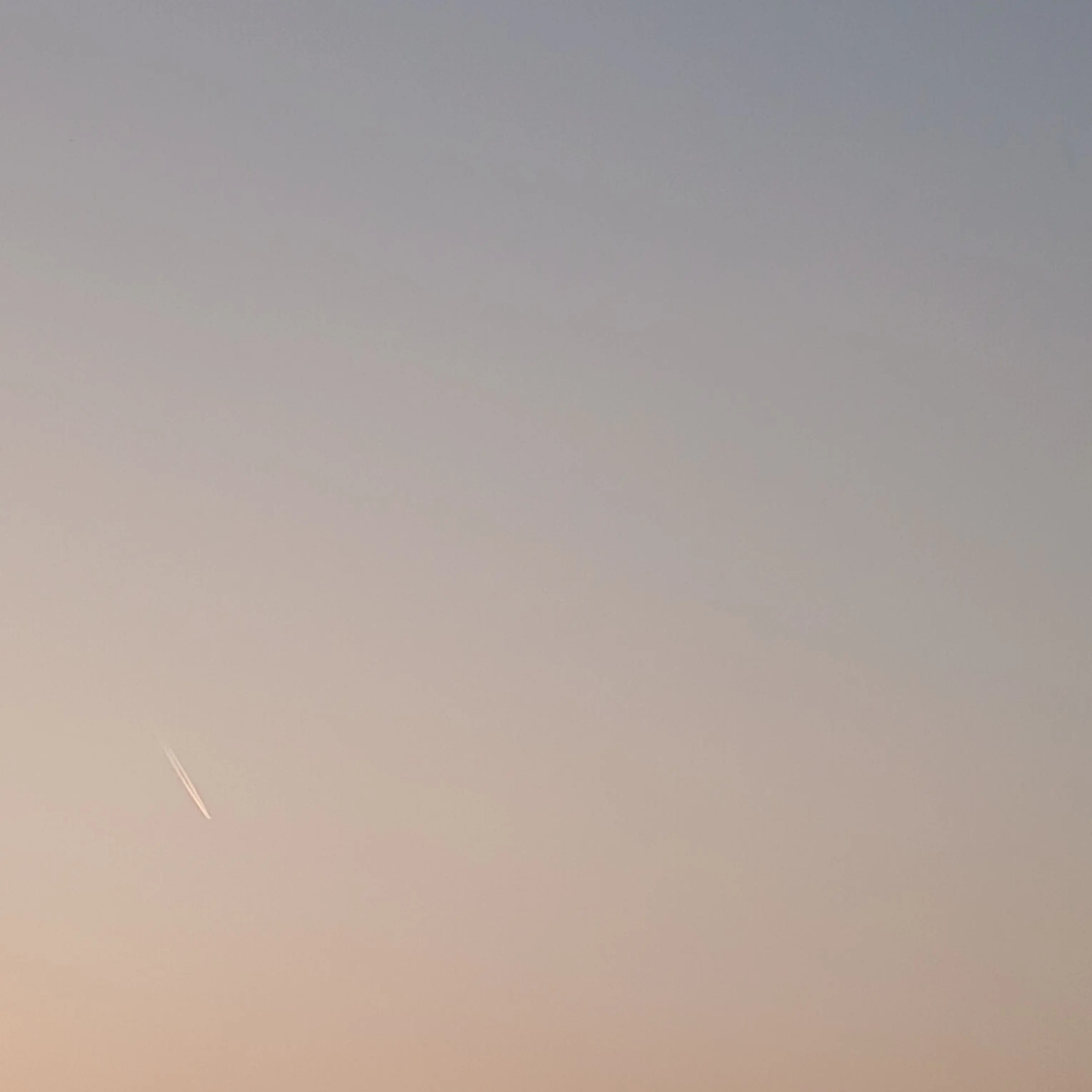 SubtleNote3319의 유튜버mt 근데여우가 여우짓을한다?!