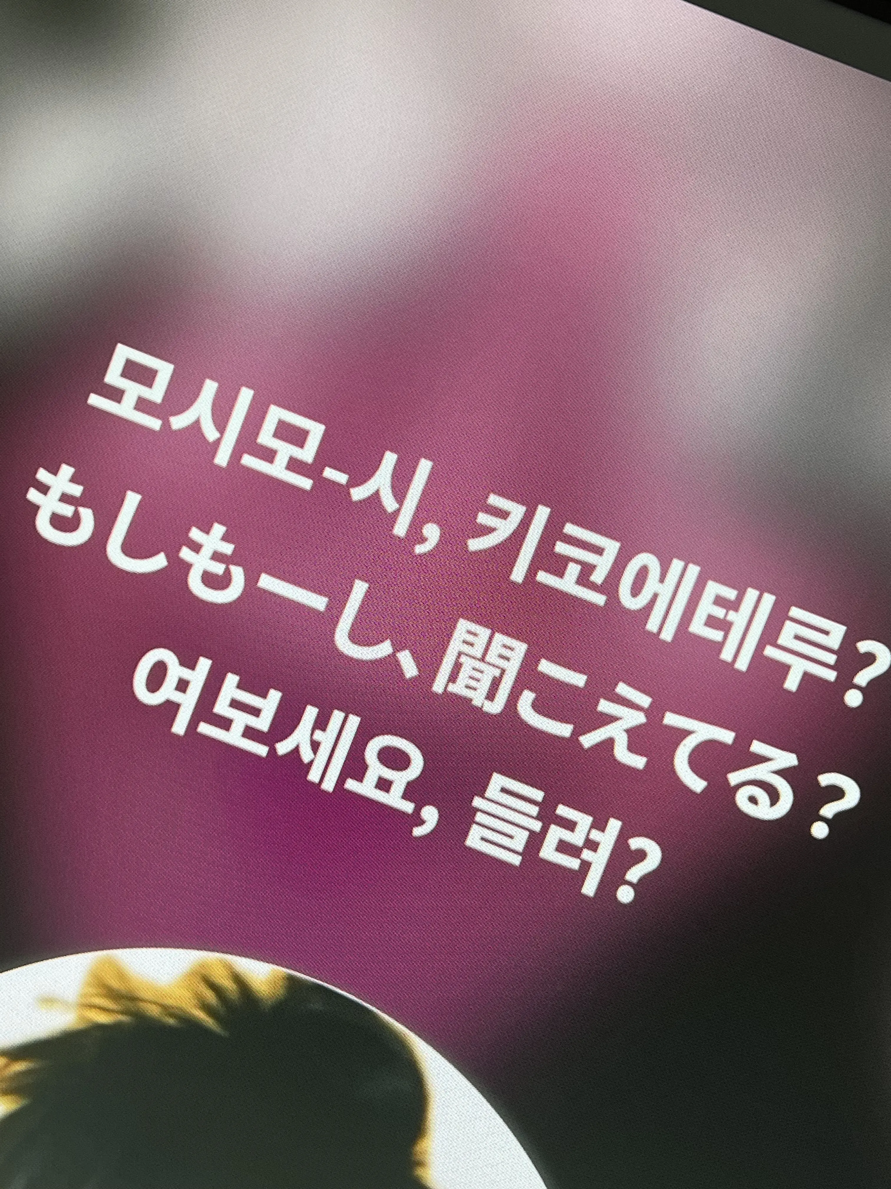 010-010-010의 10명의 선도부들