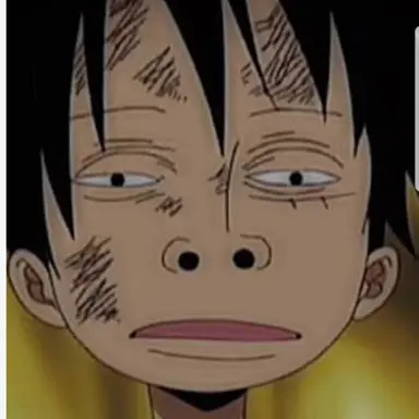 Profile image of ルフィ