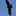 鳶