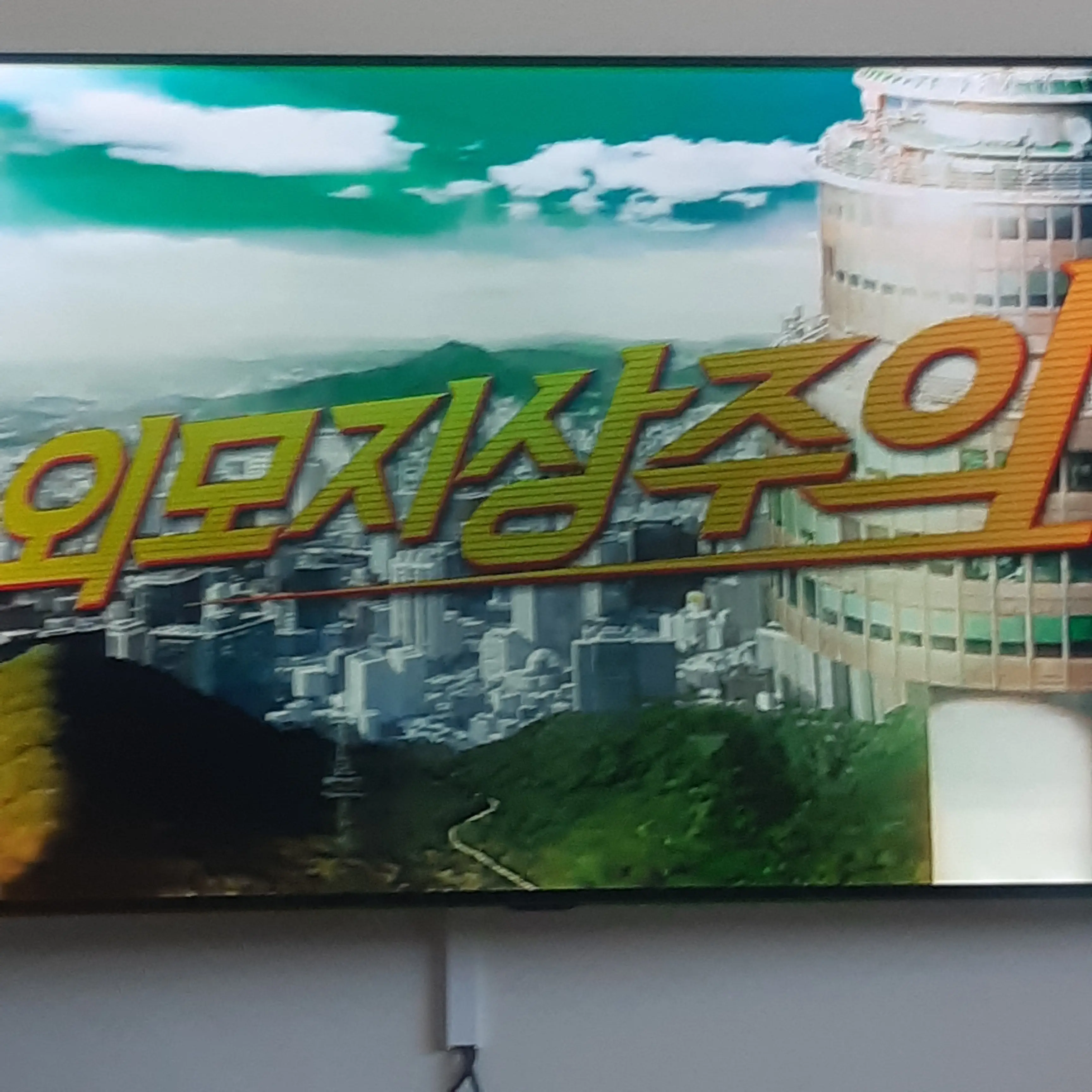 GloomyBeago4386의 외모지상주의