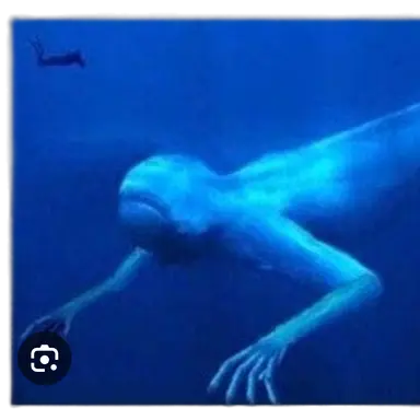 Profile image of 닝겐