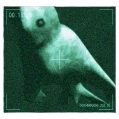 Profile image of 닝겐