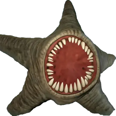 Profile image of 자이언트 스타피쉬