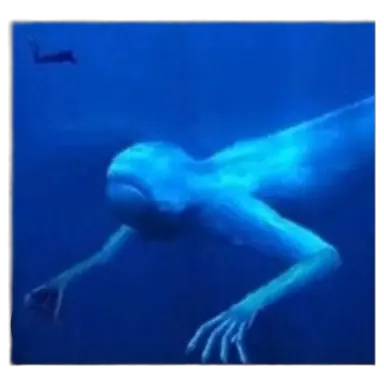 Profile image of 닝겐