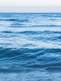 Mossosaurus의 삼해 바다 괴물