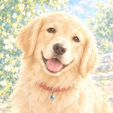 Profile image of Leo