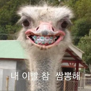 Profile image of 여우