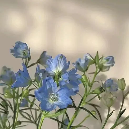 CatCream1의 개인용