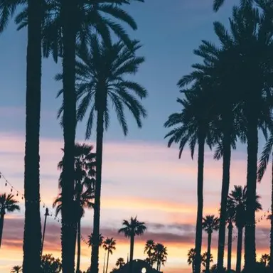 Profile image of 윤도운